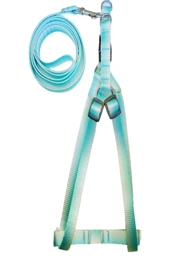 KittuPet Easy Walk Dog Harness for Small Dogs No Pull | Escape Proof Harness for Dogs Puppies | Small Puppy Harness for Puppy Training | Pet Dog Walking Harness Accessories Medium, 15mm (Green) - Image 1